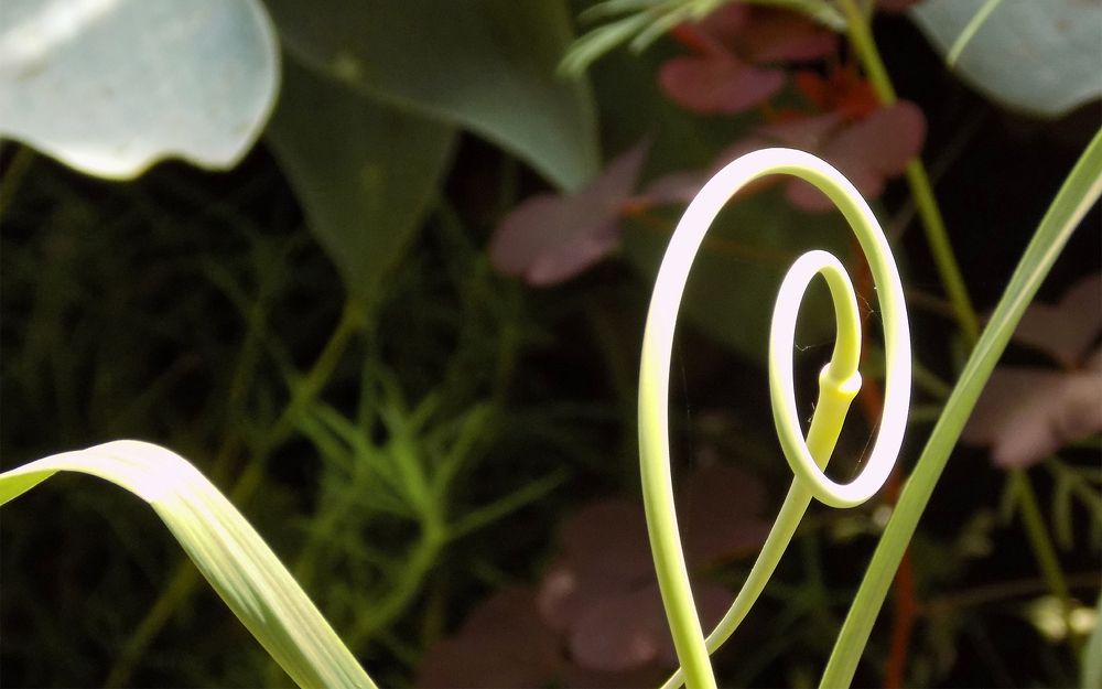 Photograph by Сергей Рудаков