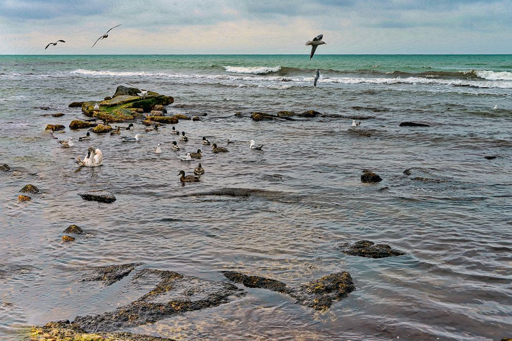 Photograph by Анатолий Чикчирный