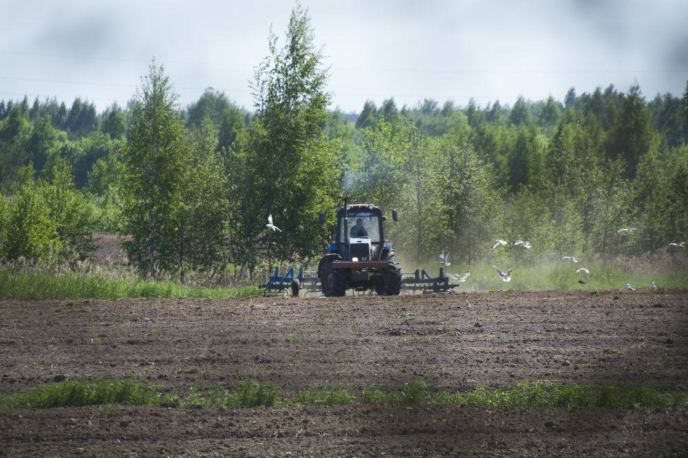 Photograph by Алексей