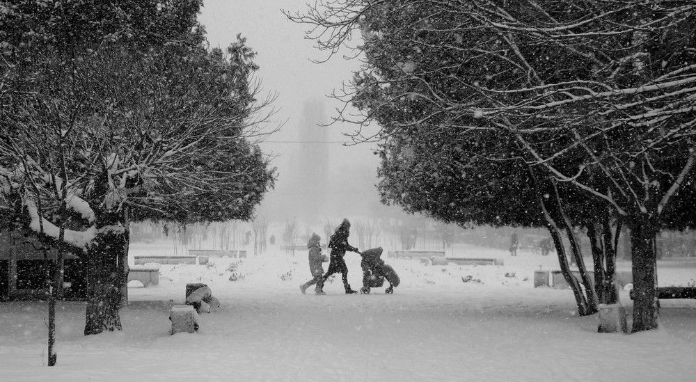 Photograph by Андрей Слива