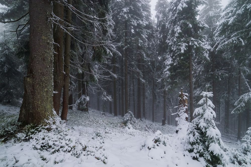 Photograph by Ivan Maljarenko