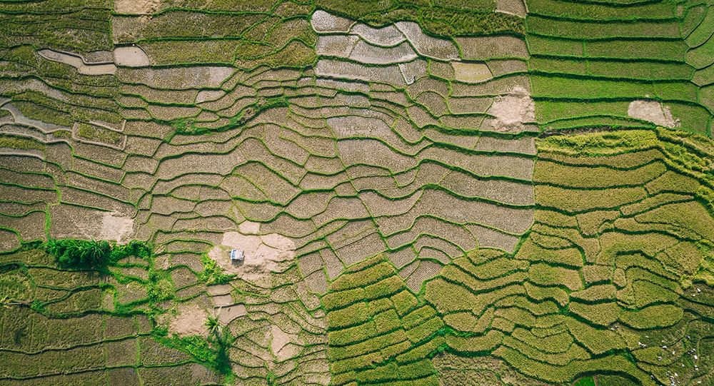 Photograph by Rengga Marantica