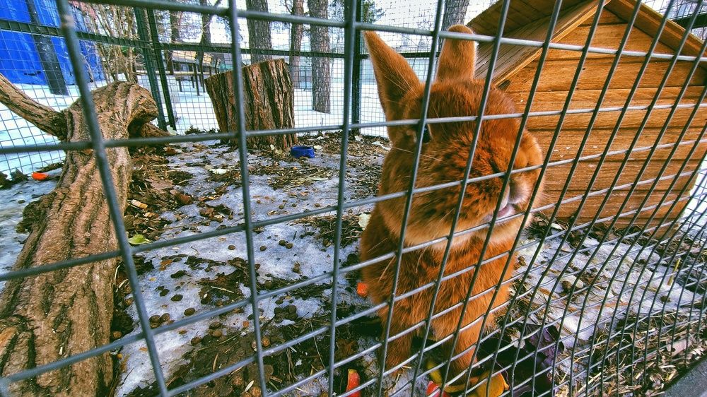 Photograph by Максим Пинчук