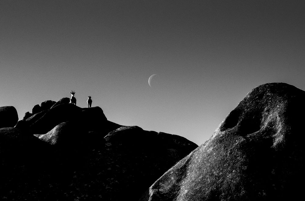 Photograph by Manuel