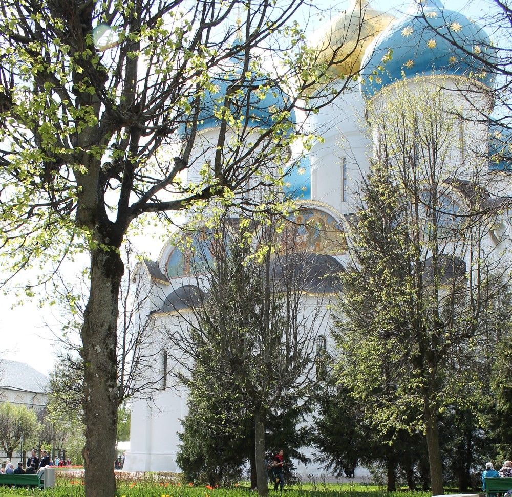 Photograph by Наталья