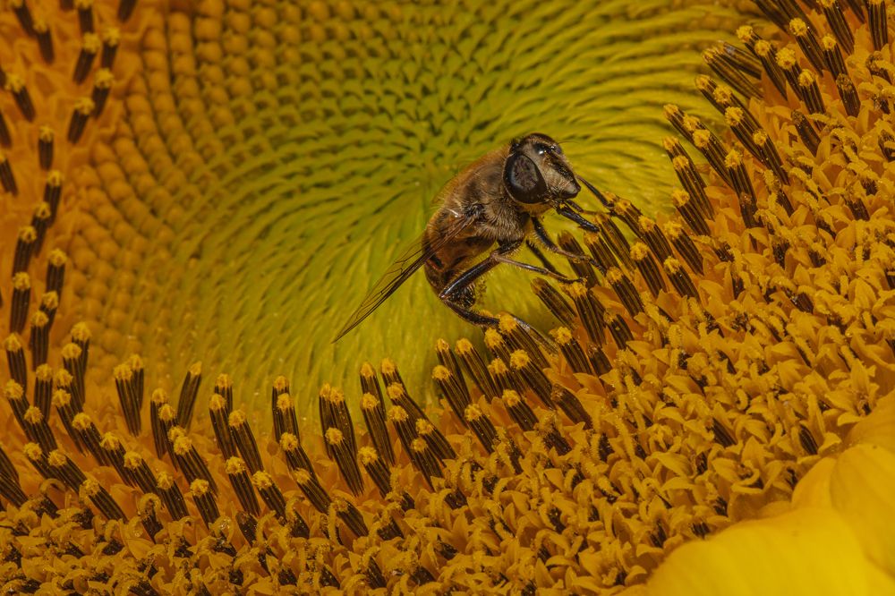 Photograph by Peet J Van Eeden