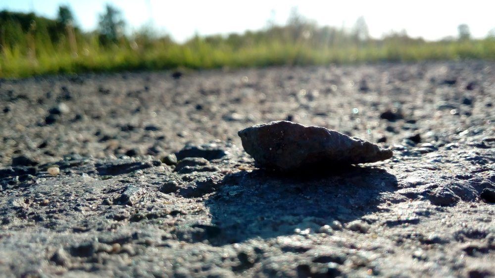 Photograph by Александра Захарова