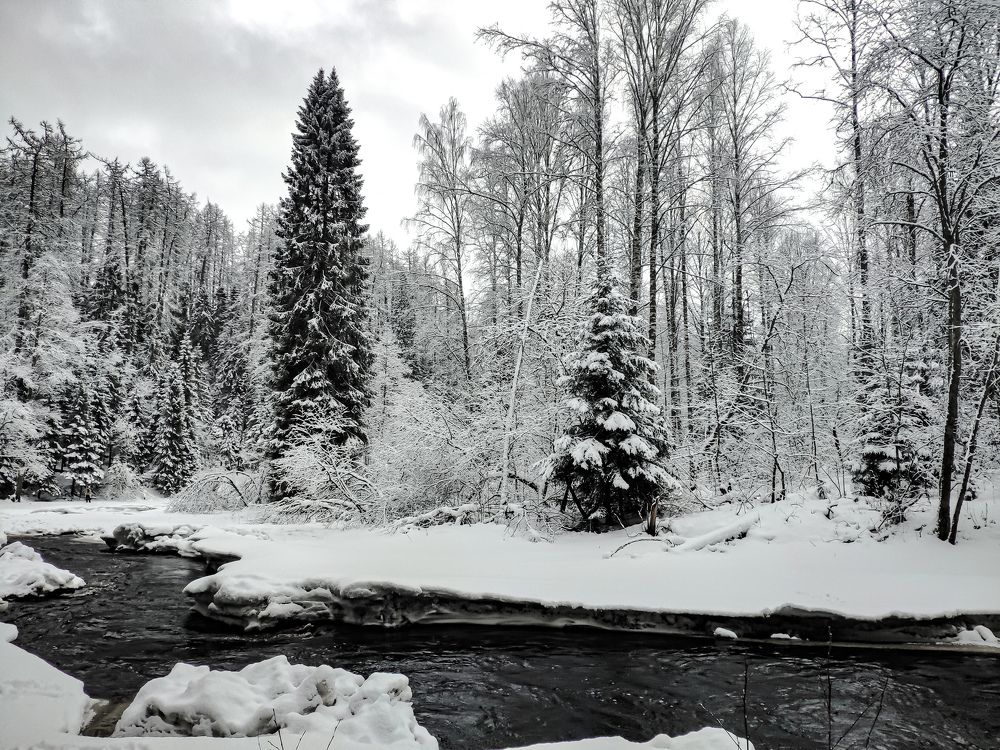 Photograph by Дмитрий Малышев