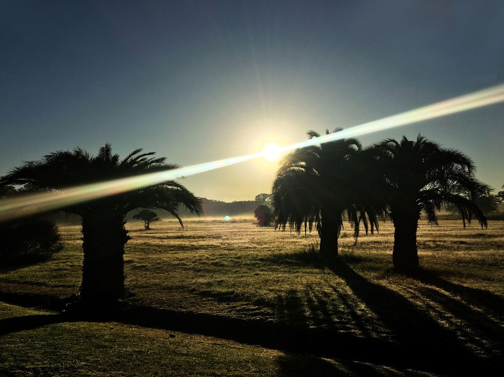 Photograph by Viviana García