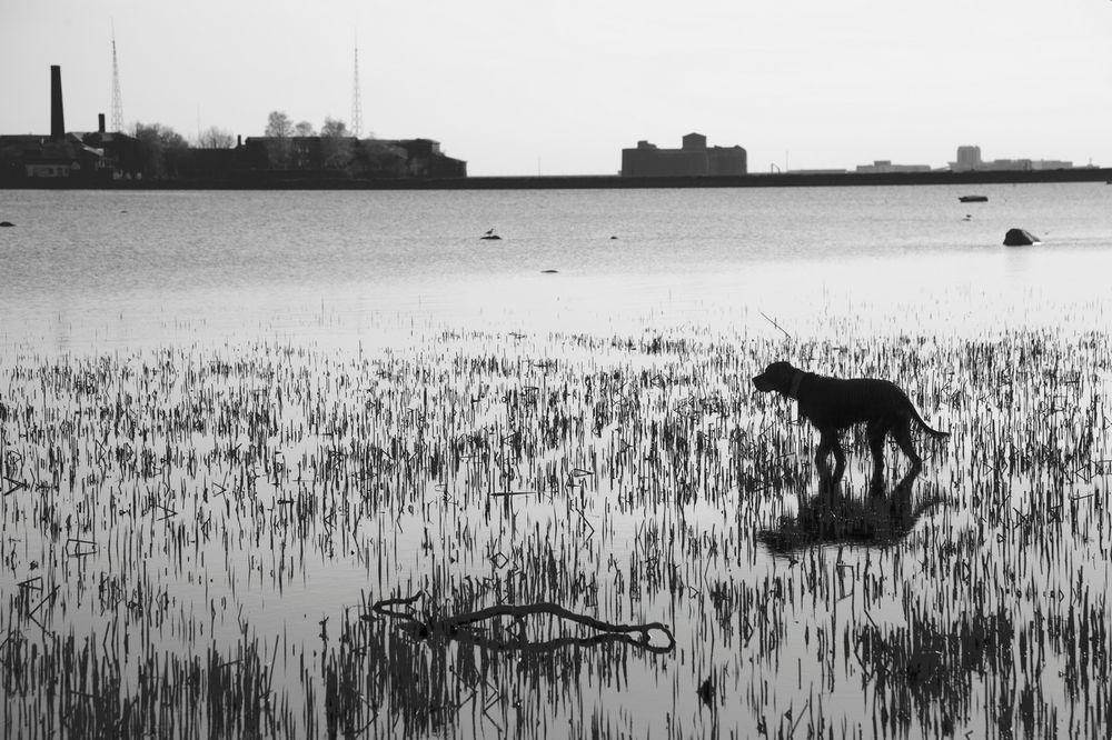 Photograph by игорь цветков