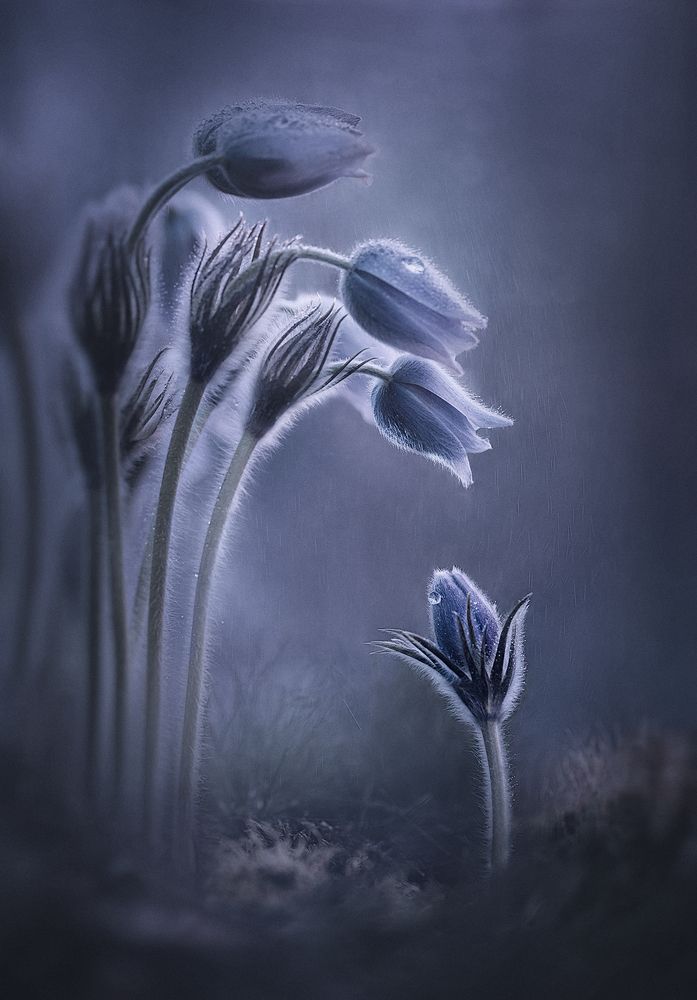 Ты куда?... -туда где весна!