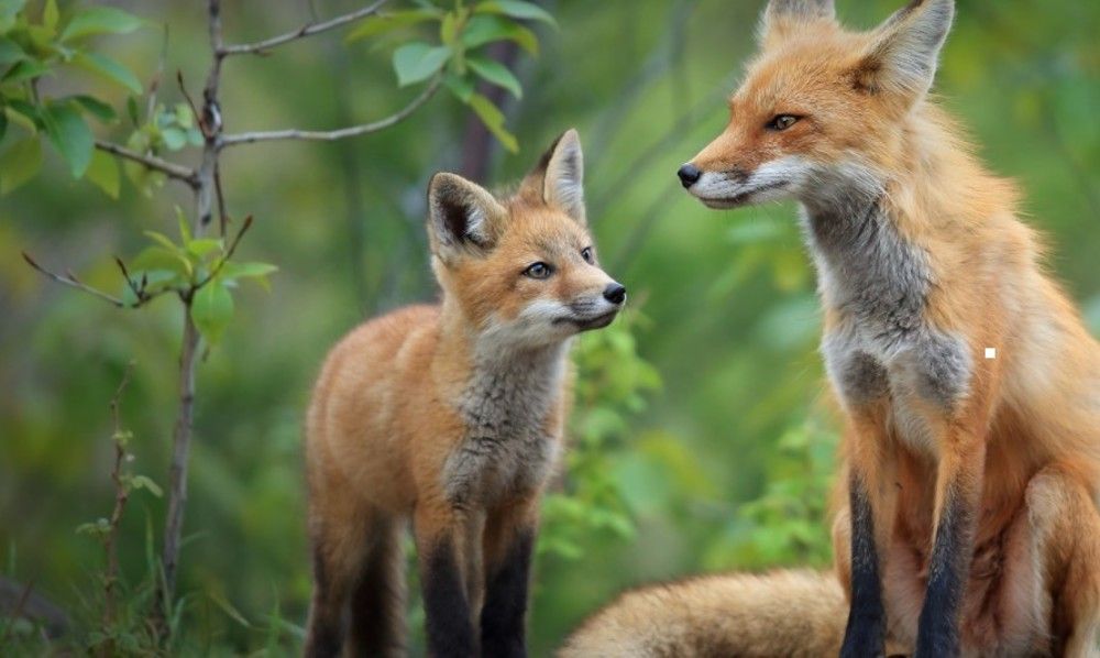 Photograph by Ahsan Ishtiaq