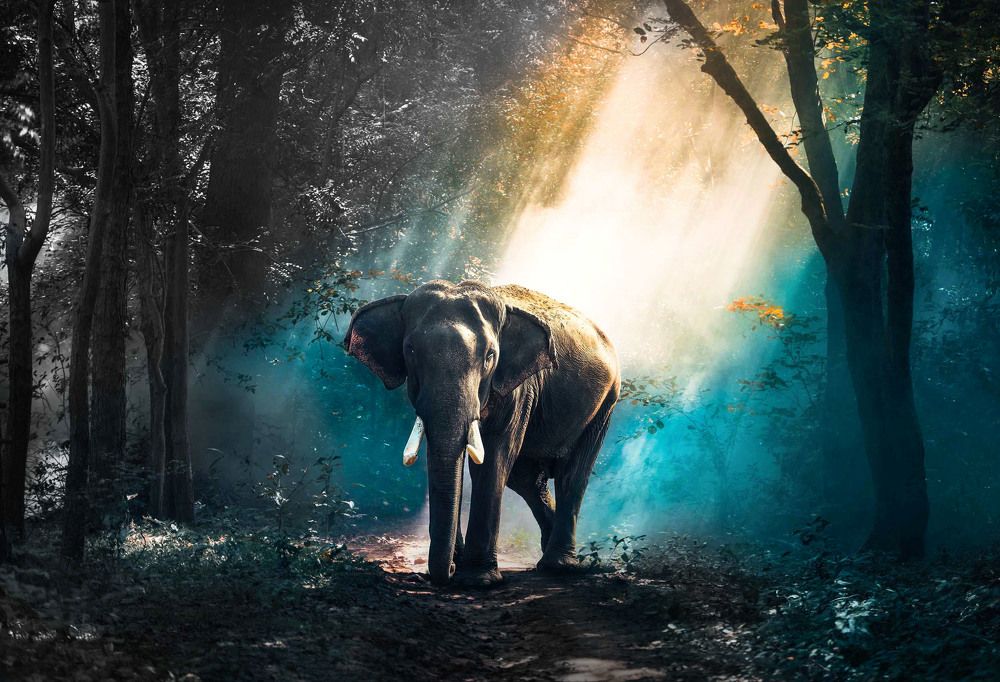 Photograph by Ahsan Ishtiaq