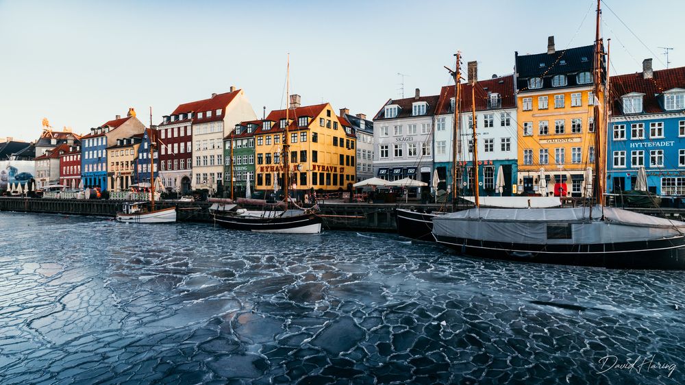 Photograph by David Haring