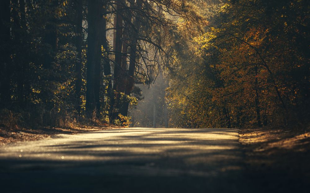 Photograph by логинов денис александрович