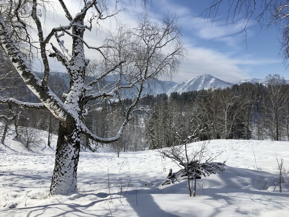 Photograph by Андрей Кузнецов