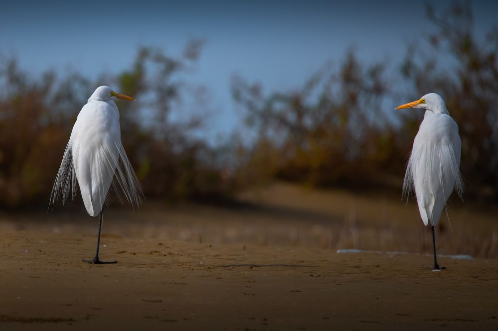 Photograph by sohrab kaveh