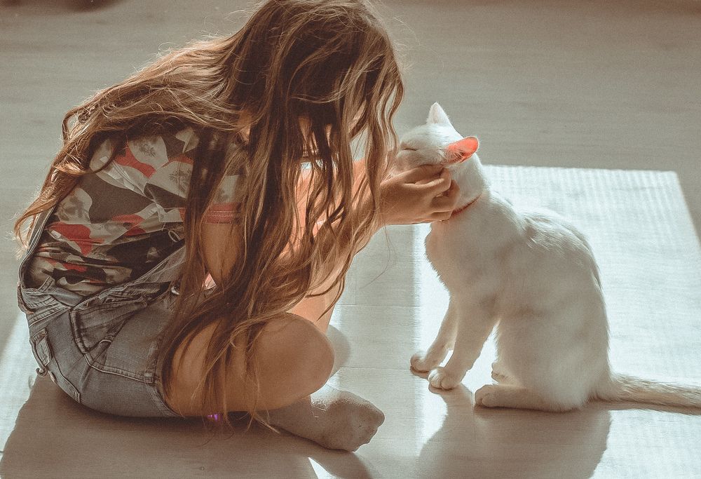 Photograph by Светлана Мыльникова