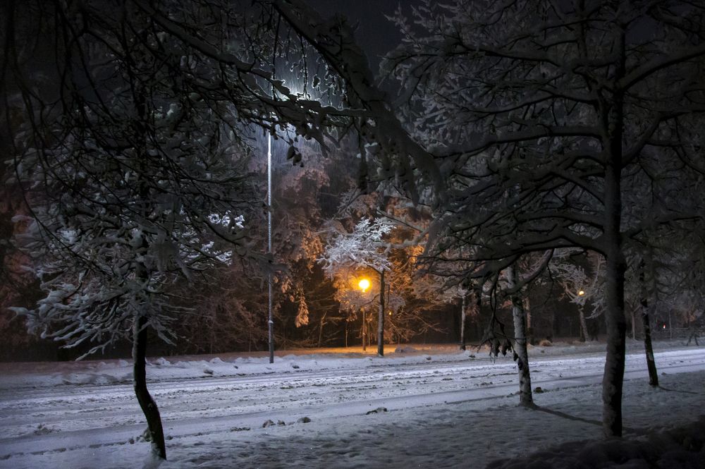 Морозная тишина