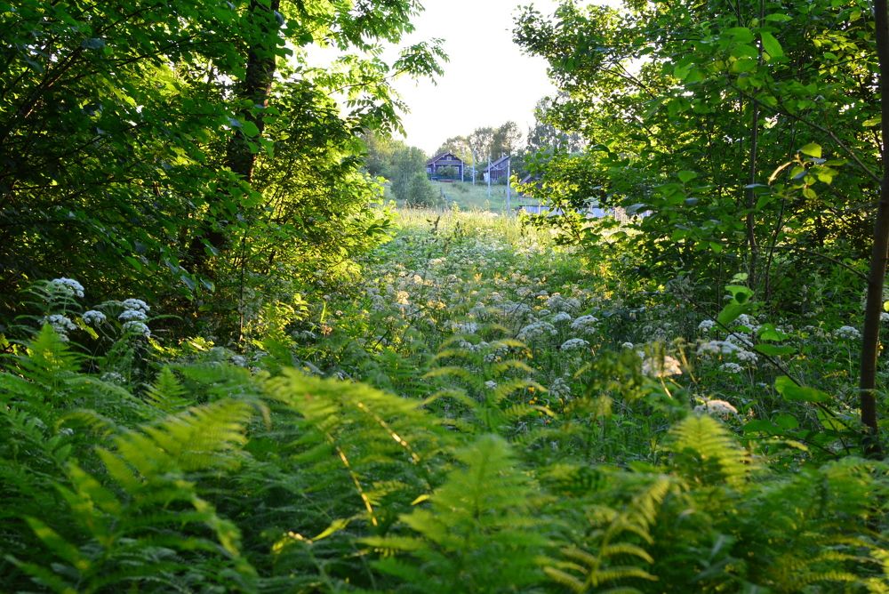 Photograph by Алексей