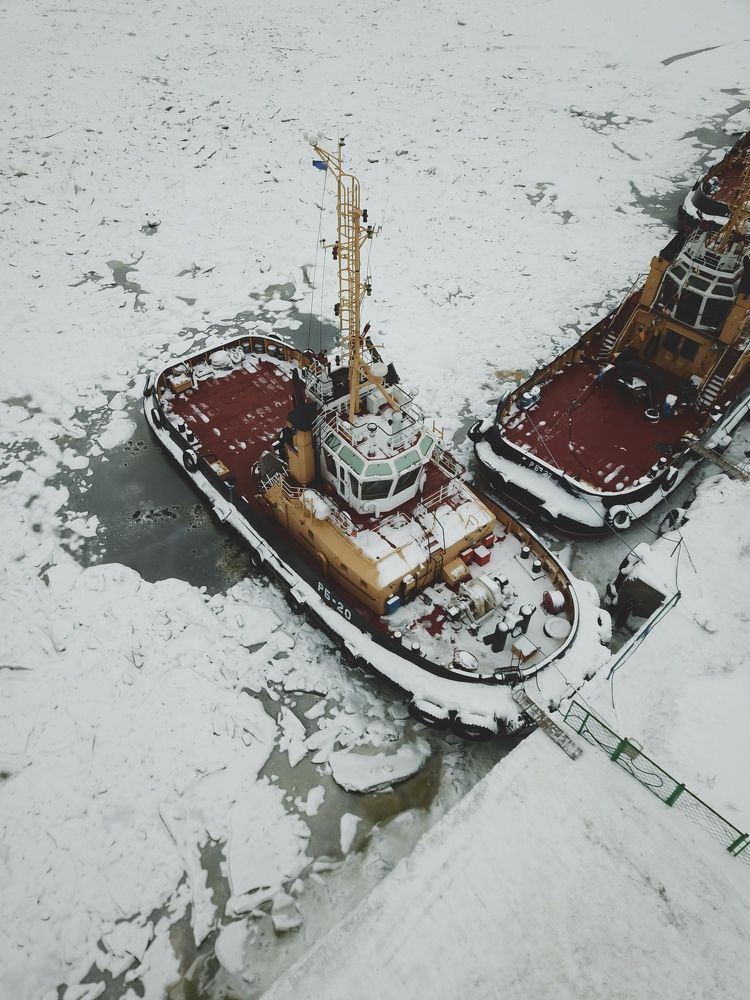 Ледяной плен