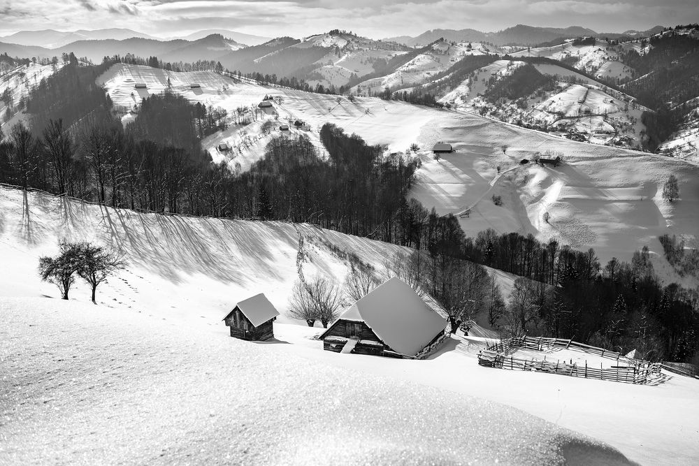 Photograph by George Alexandru