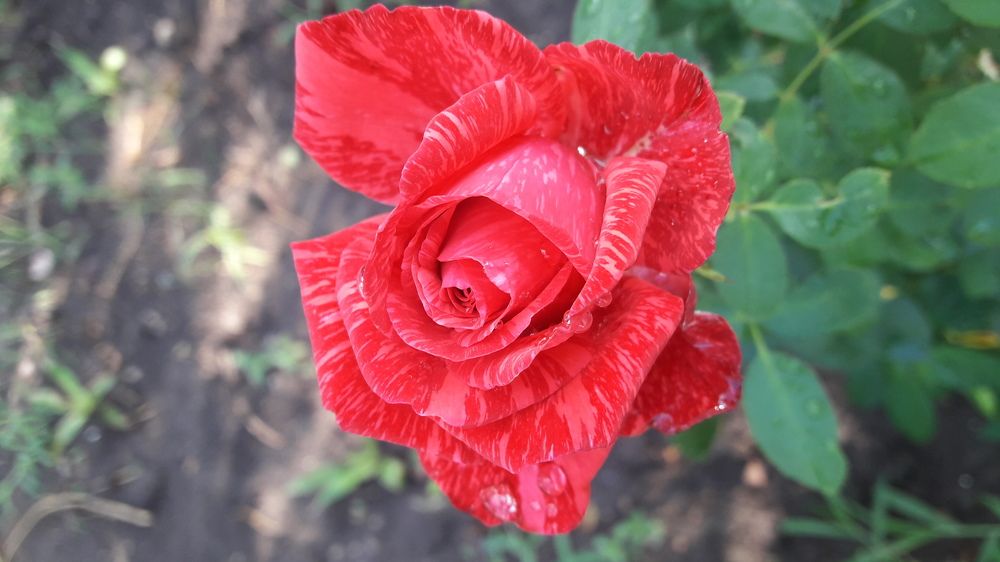 Photograph by Марина