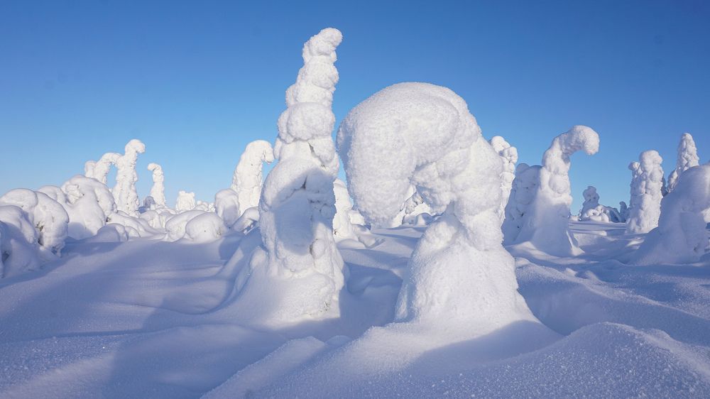 Photograph by Ольга Юрина