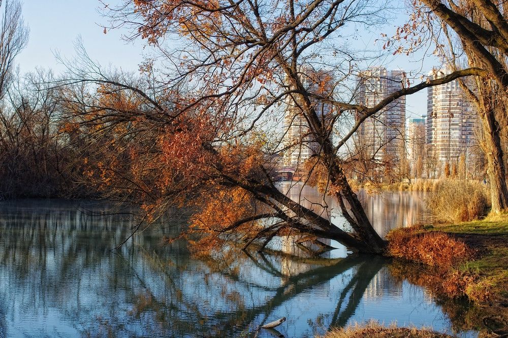 Фотография автора Сергей Павлов