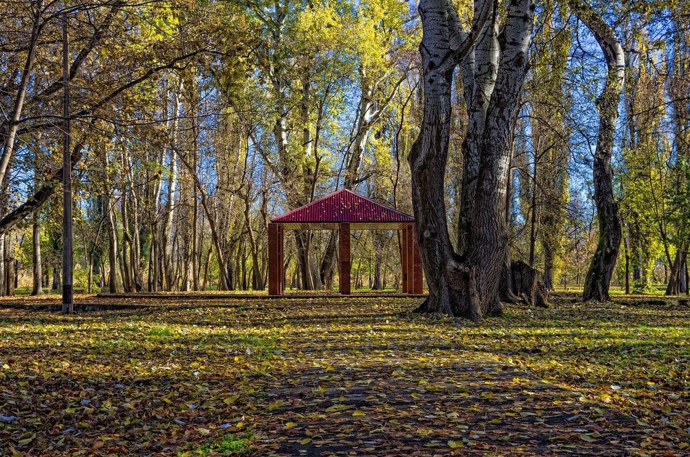 Осень в парке