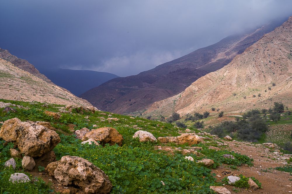 Wadi Al-Auja / Вади Аль-Ауджа