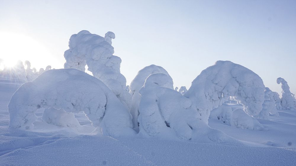 Photograph by Ольга Юрина