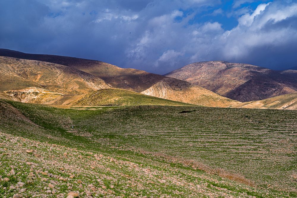 Wadi Al-Auja / Вади Аль-Ауджа