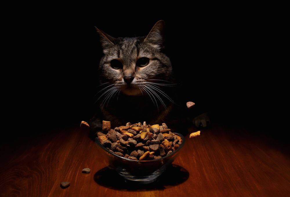 Photograph by ALBERT