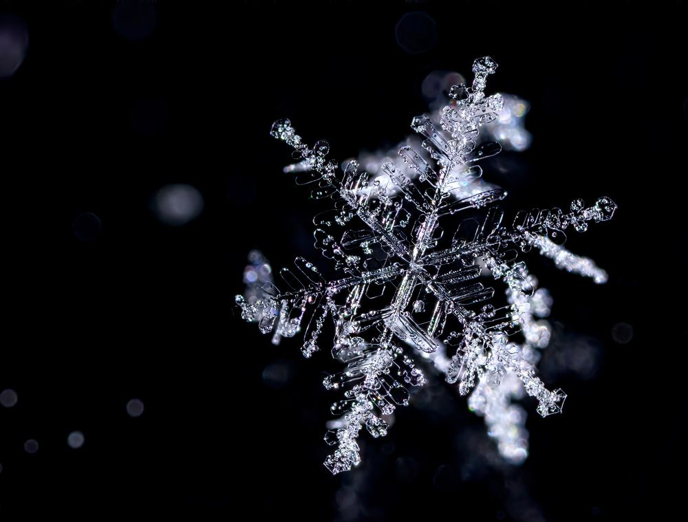 Photograph by  Mykhailo