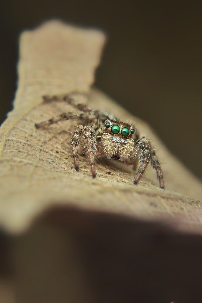 Photograph by MD AKBAR HOSSAIN Akbar