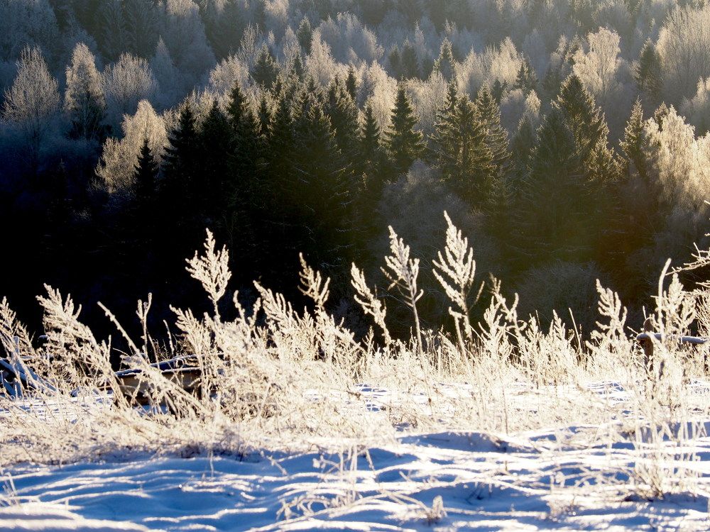 Photograph by Екатерина Шмелева