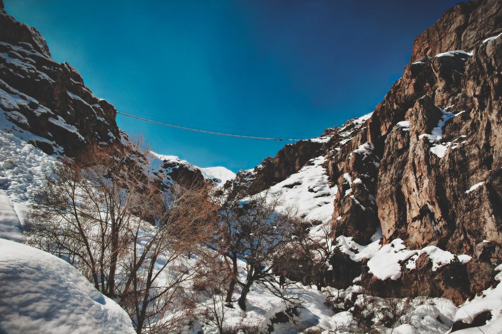 Photograph by Mohammad Javady