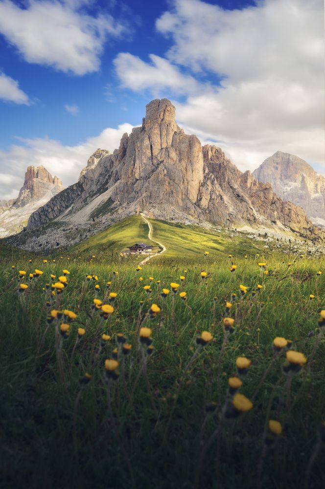 Photograph by Mirko Pacifico