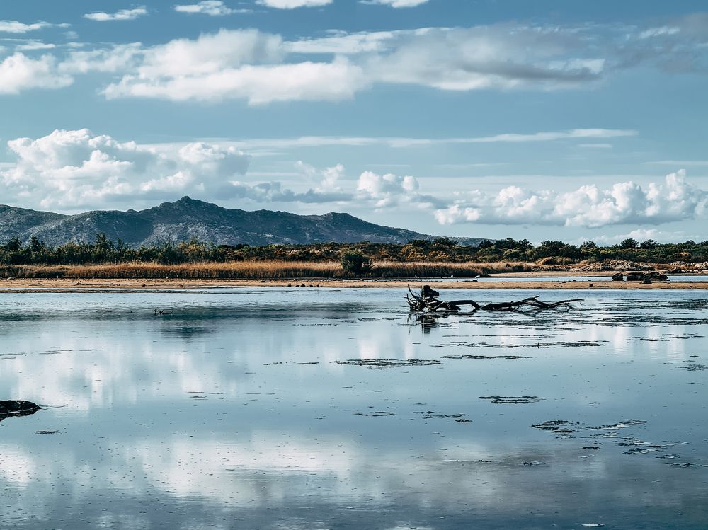 Photograph by Claudio Marchionne