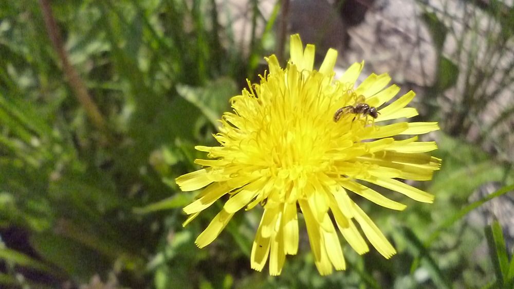 Photo #5822065