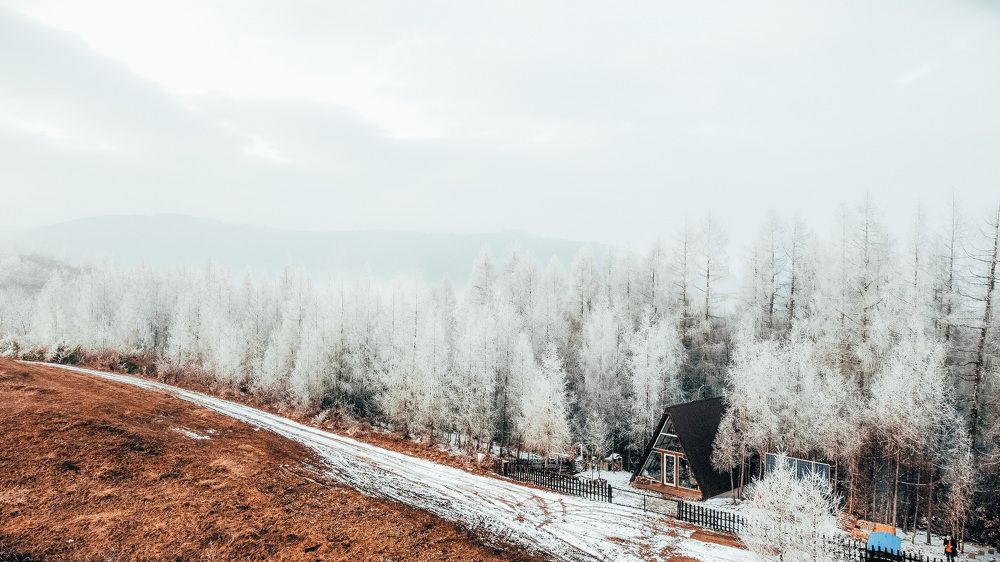 Photograph by Olasz Laszlo