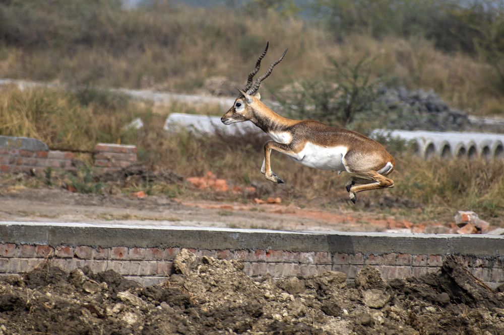 Photograph by mayur shrimali