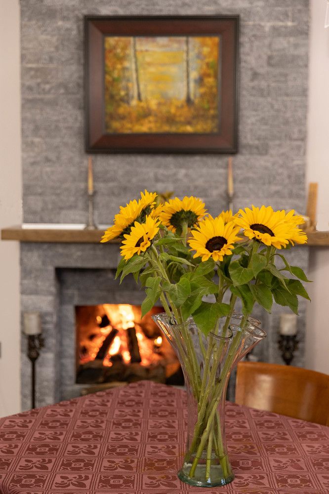 Photograph by MICHAEL SHVARTS