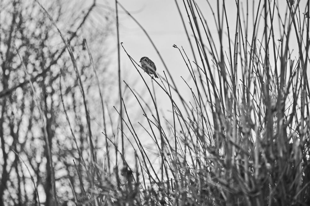 Photograph by Ольга Вячеславовна