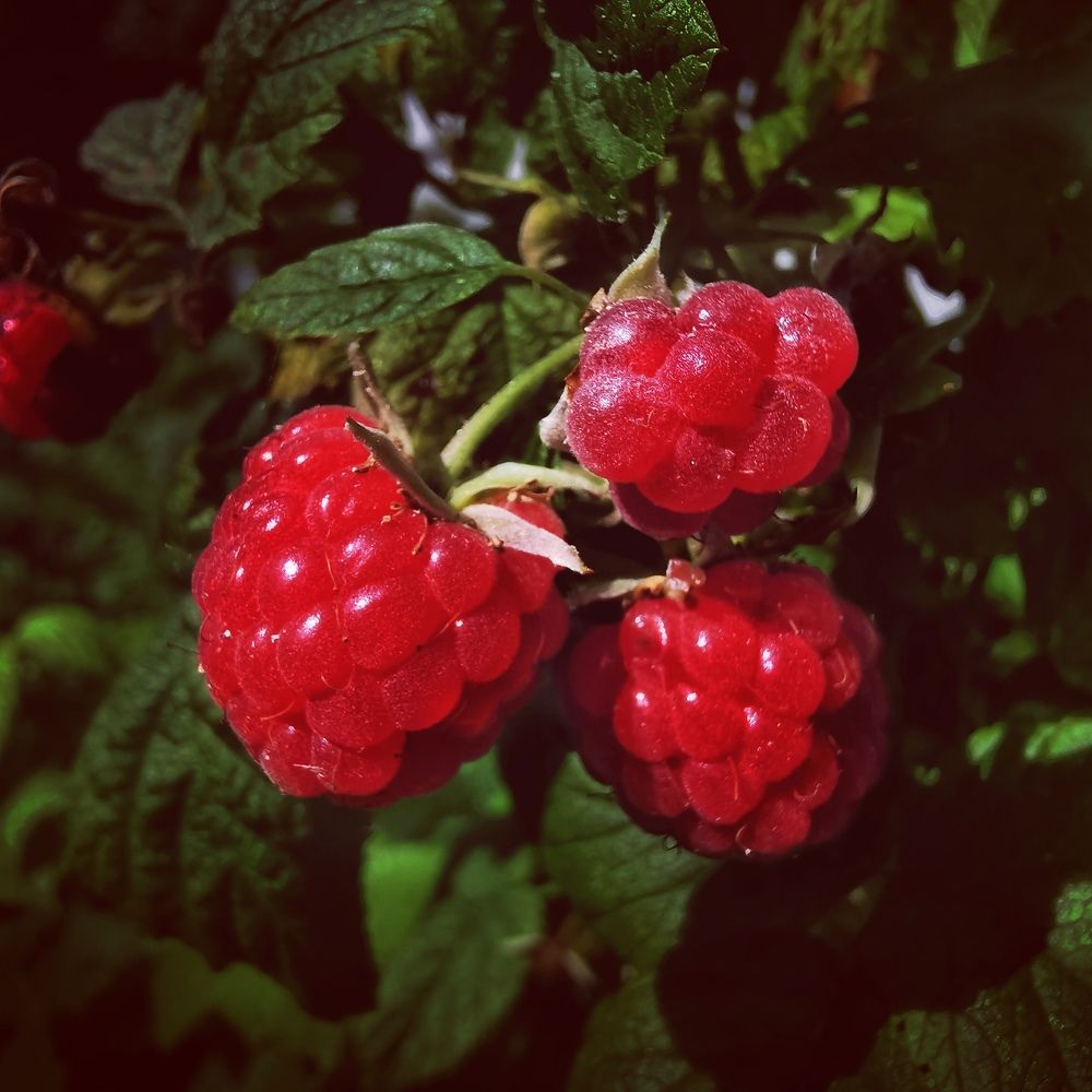 Photograph by Евгения Лушенкова