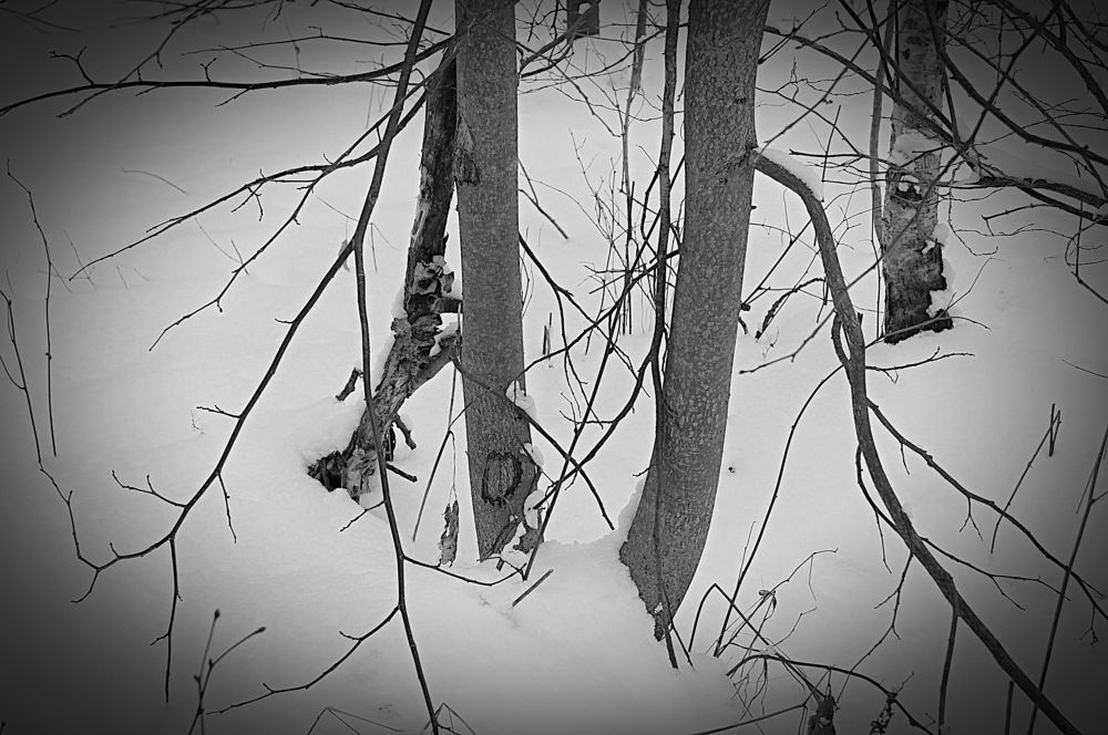 Разлад в семье и дети.