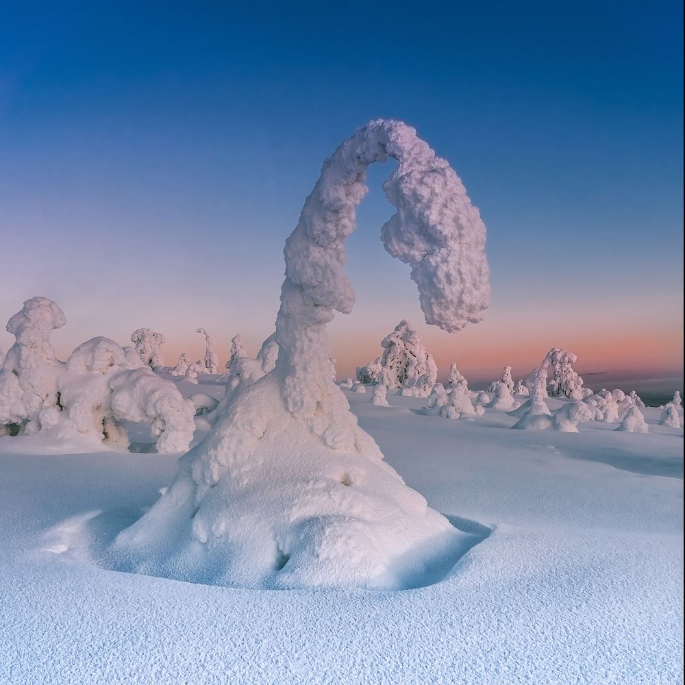 Photograph by Лариса Николаевна Дука