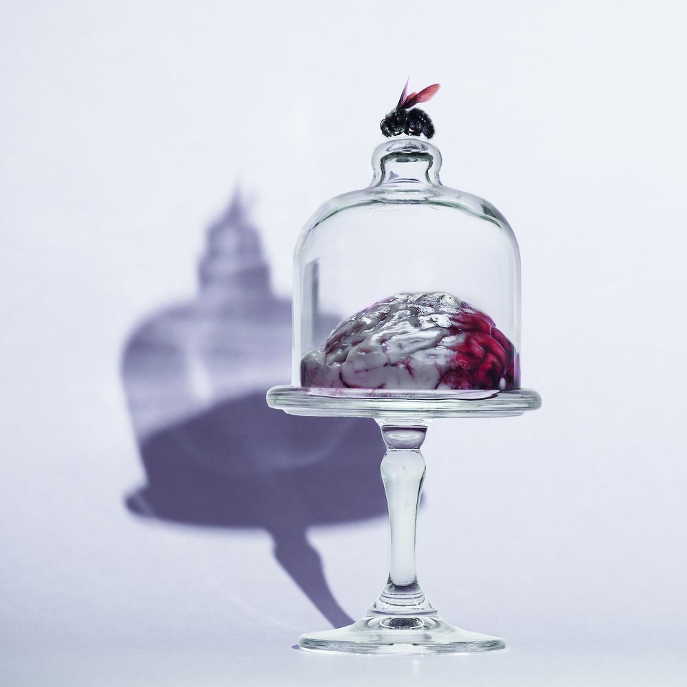 Photograph by Olena Leliuk