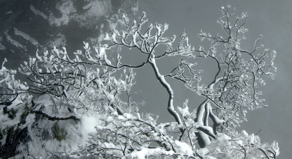 Photograph by НАДЕЖДА